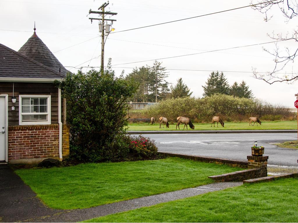 Ecola Creek Lodge Cannon Beach Exteriér fotografie