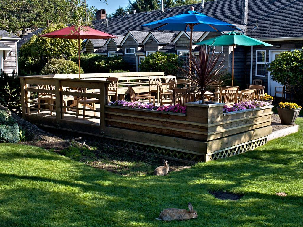 Ecola Creek Lodge Cannon Beach Exteriér fotografie